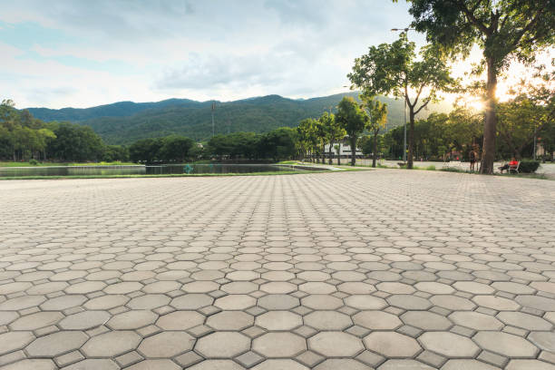 Best Local Driveway Pavers  in West Miami, FL